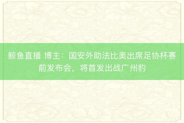 鲸鱼直播 博主:国安外助法比奥出席足协杯赛前发布会,将首发出战广州豹